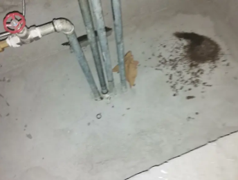 工农卫生间测漏水价格明细