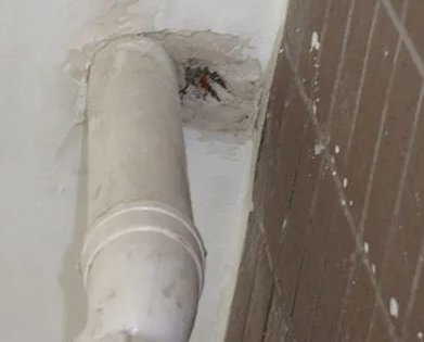 工农漏水检测哪家好